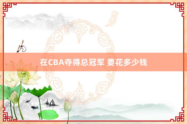 在CBA夺得总冠军 要花多少钱