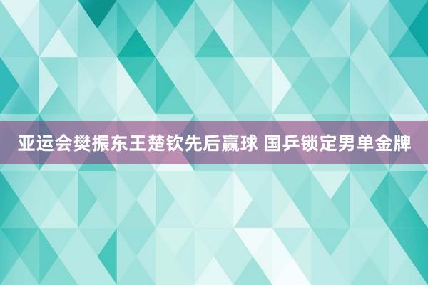 亚运会樊振东王楚钦先后赢球 国乒锁定男单金牌