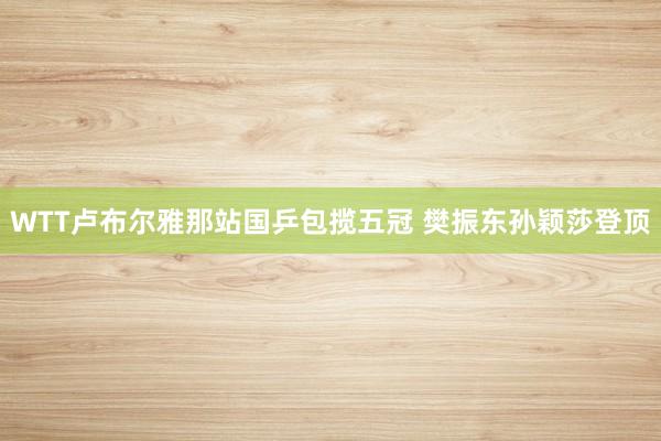 WTT卢布尔雅那站国乒包揽五冠 樊振东孙颖莎登顶