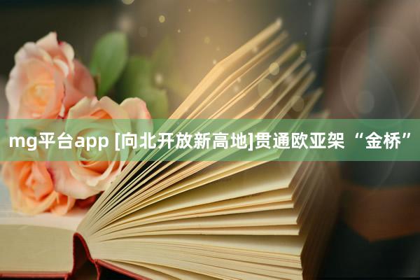 mg平台app [向北开放新高地]贯通欧亚架 “金桥”