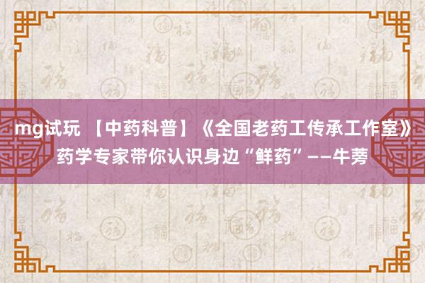 mg试玩 【中药科普】《全国老药工传承工作室》药学专家带你认识身边“鲜药”——牛蒡