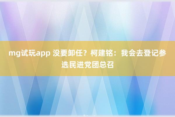 mg试玩app 没要卸任?柯建铭:我会去登记参选民进党团总召