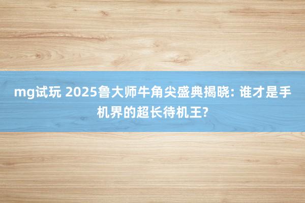 mg试玩 2025鲁大师牛角尖盛典揭晓: 谁才是手机界的超长待机王?