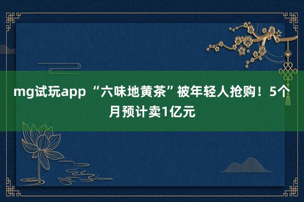 mg试玩app “六味地黄茶”被年轻人抢购!5个月预计卖1亿元