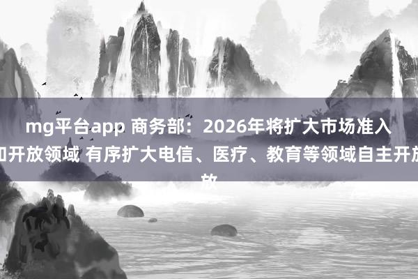 mg平台app 商务部：2026年将扩大市场准入和开放领域 有序扩大电信、医疗、教育等领域自主开放