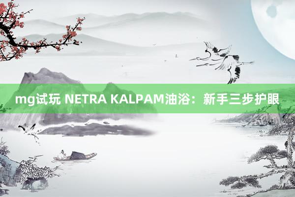 mg试玩 NETRA KALPAM油浴：新手三步护眼