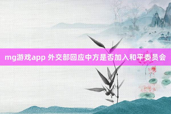 mg游戏app 外交部回应中方是否加入和平委员会