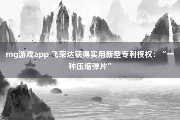 mg游戏app 飞荣达获得实用新型专利授权：“一种压缩弹片”