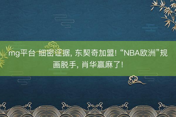 mg平台 细密证据， 东契奇加盟! “NBA欧洲”规画脱手， 肖华赢麻了!
