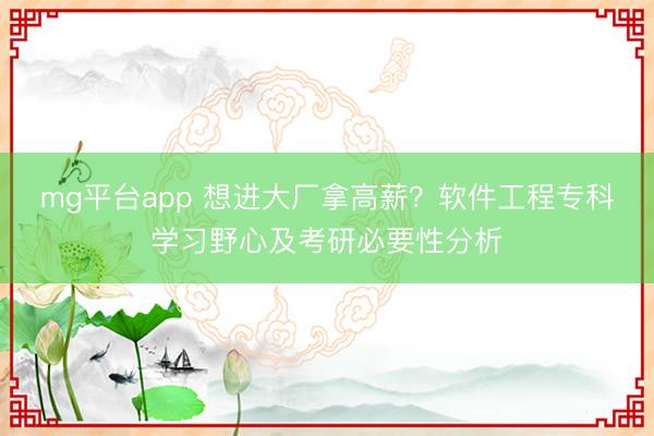 mg平台app 想进大厂拿高薪?软件工程专科学习野心及考研必要性分析