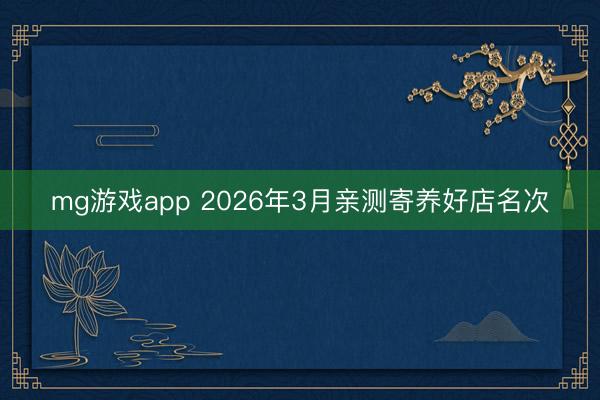 mg游戏app 2026年3月亲测寄养好店名次